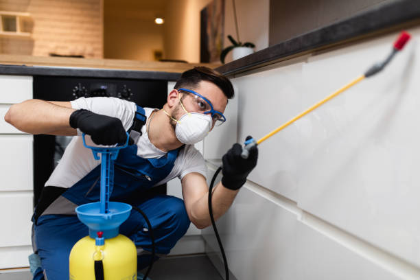 Best Rat Extermination Near Me  in Burton, OH