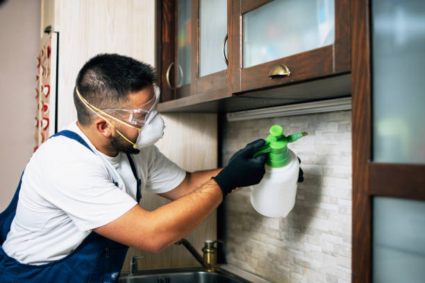 Best Ant Control Services  in Burton, OH
