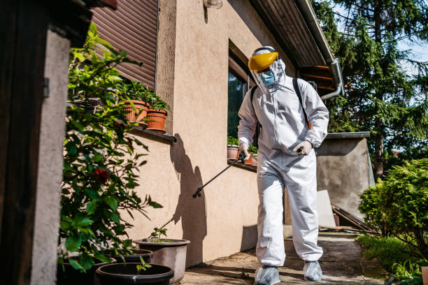 Best Cockroach Control Services  in Burton, OH