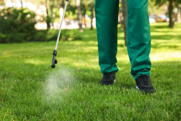 Best Local Pest Control Services  in Burton, OH