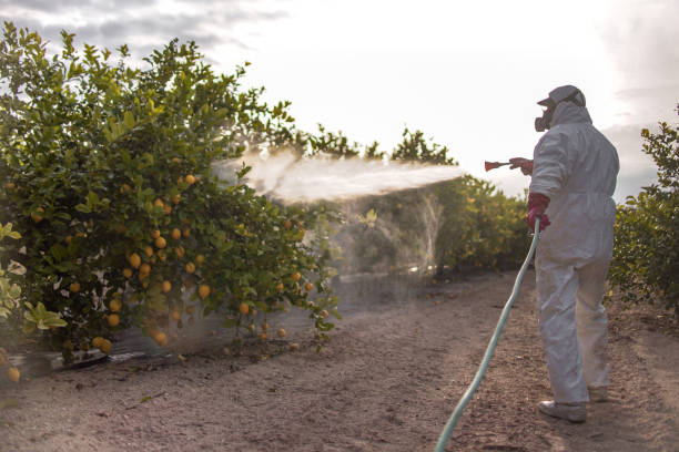 Best Pest Prevention Services  in Burton, OH