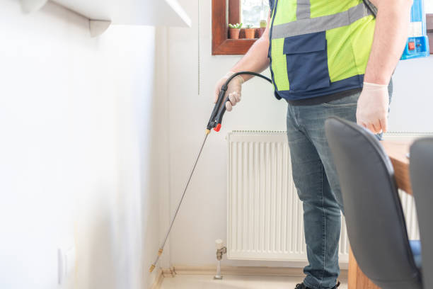Best Termite Control Services  in Burton, OH