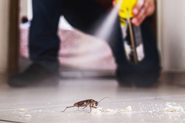 Best Pest Prevention Services  in Burton, OH