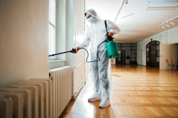 Best Insect Control  in Burton, OH