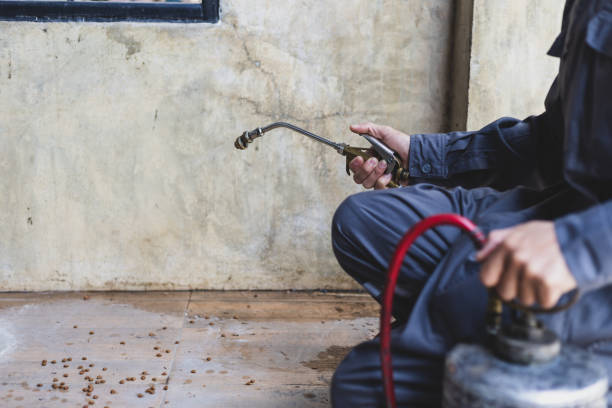Best Emergency Pest Control  in Burton, OH